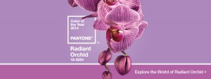radiant_orchid